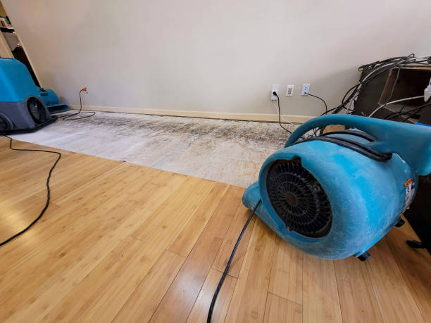 Professional Water Damage Repair technician working in Genoa, NV
